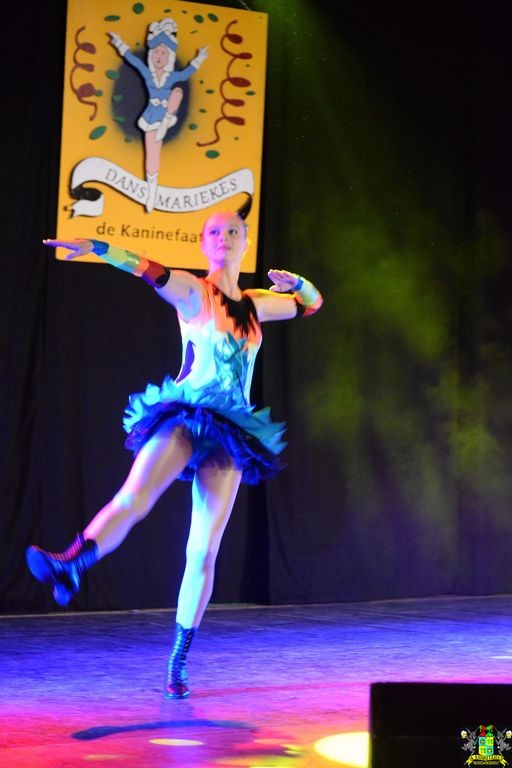 ../Images/Dansmarieke festival 2018 037.jpg